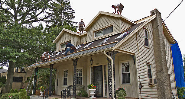 Best Storm Damage Roof Repair  in Brookdale, CA