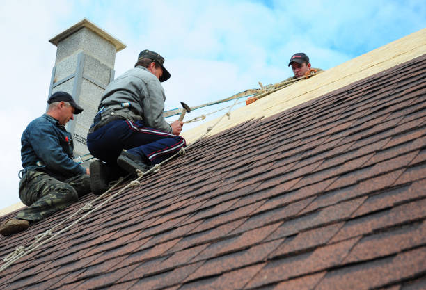 Best Roof Repair Services  in Brookdale, CA